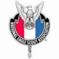 NESA - Transatlantic Council logo - Similar company to Transatlantic Council, Scouting America