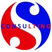 Singular Consulting logo - Similar company to Teenage Concerns