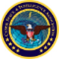Cyber, Space, And Intelligence Association (Csia)