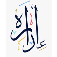Saudi Edarah Co - شركة إداره السعودية logo - Similar company to Bridges