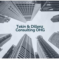 Tekin & Dillenz Consulting OHG logo - Similar company to Nxtlog