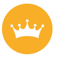 triunfei.com logo - Similar company to Pronto