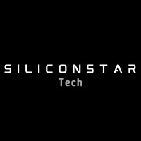 SiliconStar Tech logo - Similar company to Techligent Systems Private Limited