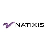 Natixis CIB Australia logo - Similar company to Spyre Digital