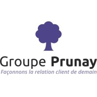 Groupe Prunay logo - Similar company to Capit Consulting