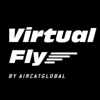 Virtual Fly Simulators logo - Similar company to Ctae