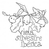 Vida Silvestre Ibérica logo - Similar company to Fauna Brewing