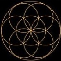 The Longevity Group logo - Similar company to B2Bx