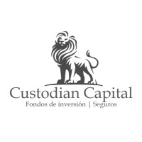 Custodian Capital logo - Similar company to Venture Installations Ltd