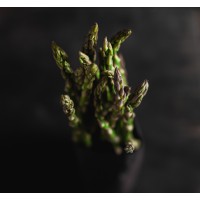 Innovterra Consulting logo - Similar company to Carrefour Ble