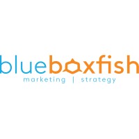 Blueboxfish logo - Similar company to Morphlab Inc.