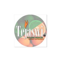Tejaswi Space Solution Pvt ltd logo - Similar company to Birchtree Consulting