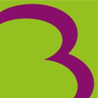 Bricon Technology GmbH logo - Similar company to General Implants Gmbh