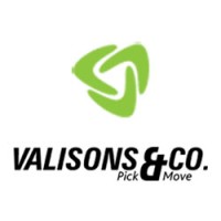 Valisons & Co. logo - Similar company to Repute Engineering Works