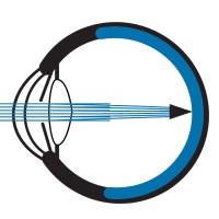 California Retina Consultants logo - Similar company to Valleyexpetec