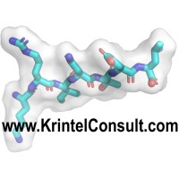 KrintelConsult logo - Similar company to Genomics Aotearoa