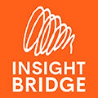 InsightBridge Innovation logo - Similar company to Bebest - Äg Din Arbetsmiljö