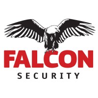 Falcon Security logo - Similar company to Genius Systems