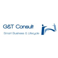 G&T Consult logo - Similar company to G&T Consulting Services