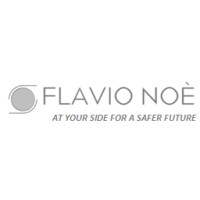 Dott. Chim. FLAVIO NOE' (IDipNEBOSH, CertIOSH) logo - Similar company to Artea S.R.L.