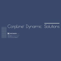 CorpLine Dynamic Solutions logo - Similar company to Ayal Ticaret