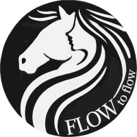 FLOW to flow logo - Similar company to H3Roes - Helpt Klantgericht Maatschappelijk Ondernemen