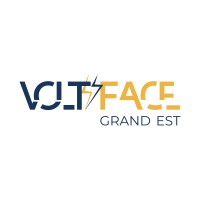 VOLTFACE GRAND EST logo - Similar company to E-Naumad
