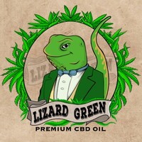 Lizard Green Ltd logo - Similar company to Supernova Asbestos & Fire