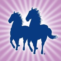 Mane 'n Tail® Equine Europe logo - Similar company to Clean Coin Technologies