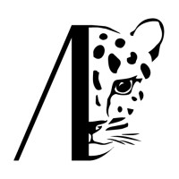 Passeri Footwear logo - Similar company to Linking Footwear