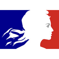 DILA (Direction de l'information légale et administrative) logo - Similar company to Desforge