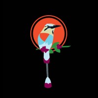 MotMot Coffee logo - Similar company to Softea