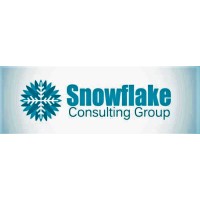 Snowflake Consulting Group LLC logo - Similar company to Vashipra