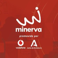 Programa Minerva logo - Similar company to Iese Business School
