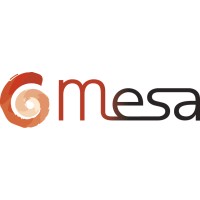 Mesa logo - Similar company to Pass-Rh