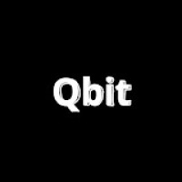 QBit • ქუბიტი logo - Similar company to Llc Connect