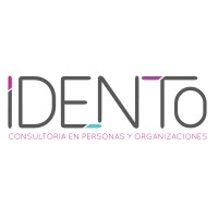 IDENTO Consultora logo - Similar company to Softnik