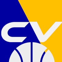 CourtVision logo - Similar company to Rustle