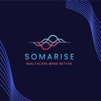 Somarise logo - Similar company to Iambiq