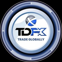 TDFX EXCHANGE logo - Similar company to Nerdy Academy