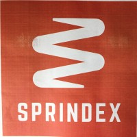 sprindex logo - Similar company to Highbar