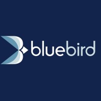 Bluebird Lending logo - Similar company to Netnet Payments