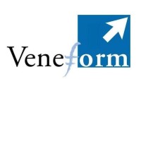 VENEFORM SRL logo - Similar company to Partner231 Srl
