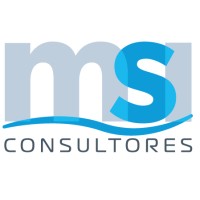 MSI Consultores logo - Similar company to Ghr Consulting