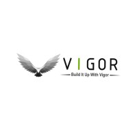 Vigor Biz logo - Similar company to Proacc Consulting, Chartered Certified Accountants