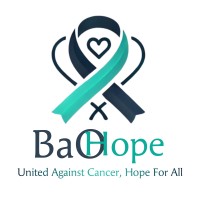 BaoHope Foundation logo - Similar company to Stand Against Female Marginalization And Abuse (Safema)