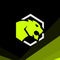 9 Lives Logistics, LLC logo - Similar company to Scorpion Auto Brokers & Dispatch, Llc