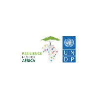 UNDP Resilience Hub for Africa logo - Similar company to East Asia Young Scholars Association
