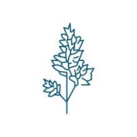 Inmunotek ANZ logo - Similar company to Imunotech