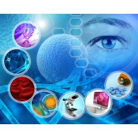 Medical Terminology for Insurance Professionals logo - Similar company to Insync Interpreters, Llc